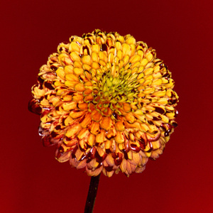 性――交――性――乱睡觉下载
