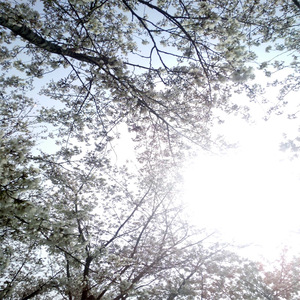 性――交――性――乱睡觉下载
